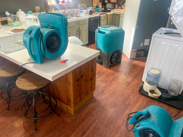 Best Local water damage restoration  in Ferdand, IN