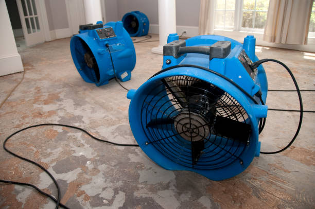 Best Water damage contractors near me  in Ferdand, IN