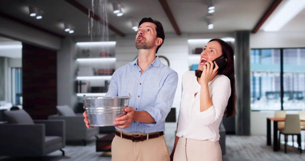 Best Flooded house restoration  in Ferdand, IN