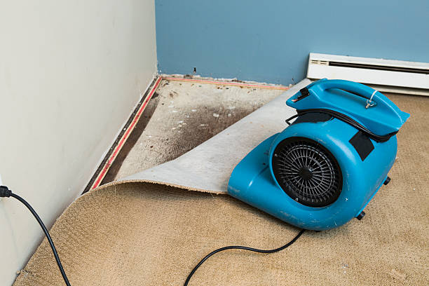 Best Residential water damage restoration  in Ferdand, IN